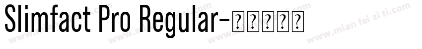 Slimfact Pro Regular字体转换